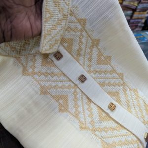 পাঞ্জাবি কোড ২৫১৩