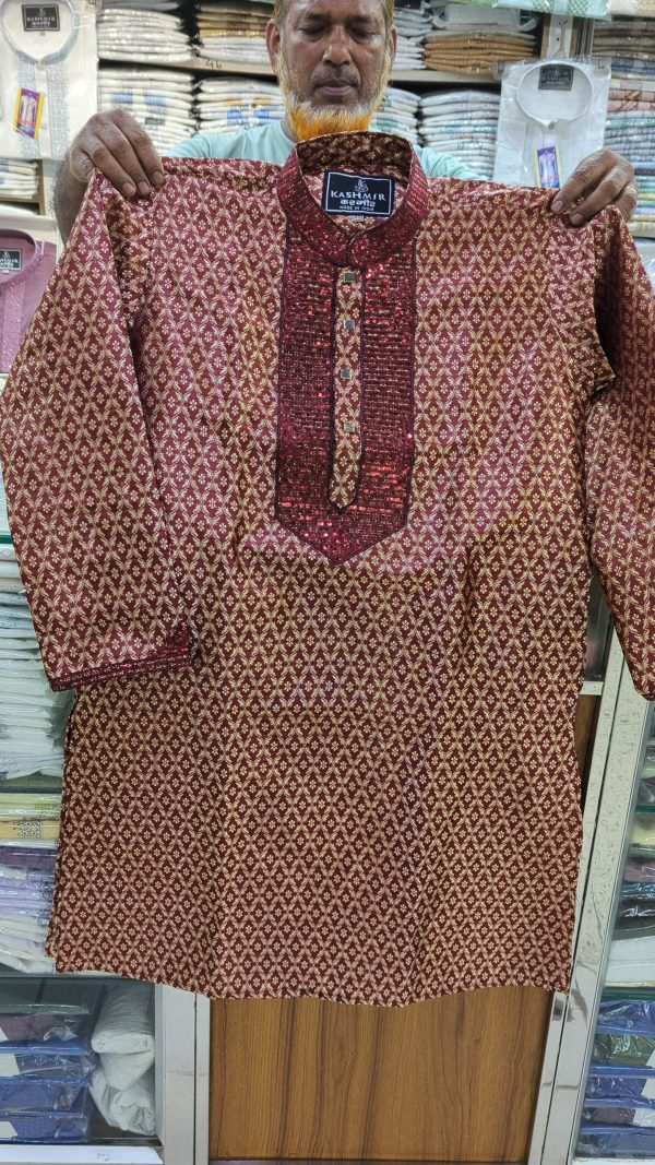 পাঞ্জাবি কোড ২৬১৯ - Image 2