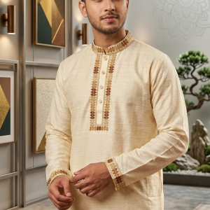 পাঞ্জাবি কোড ২৭৬৬