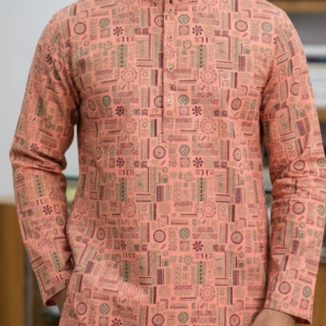 পাঞ্জাবি কোড ২৮৪৪