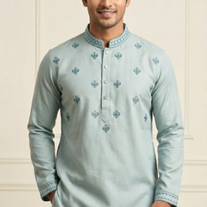 পাঞ্জাবি কোড ২৯০৪