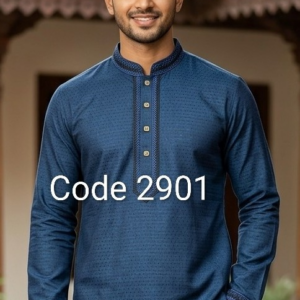 পাঞ্জাবি কোড ২৯০১